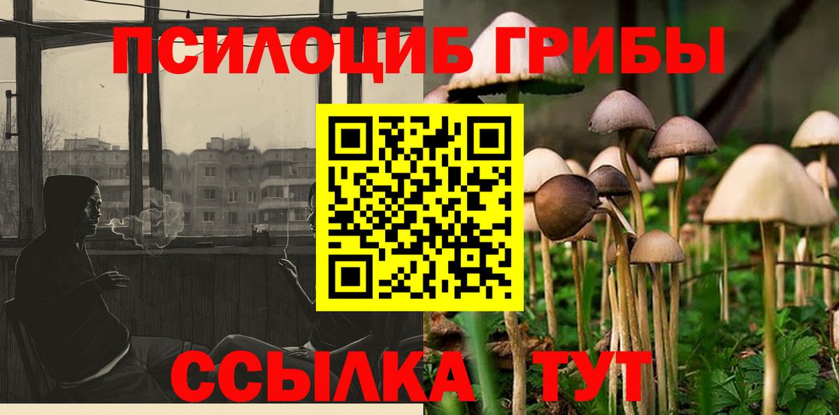 Галлюциногенные грибы мухоморы  Галлюциногенные грибы мицелий  Кохма  Вход с VPN 