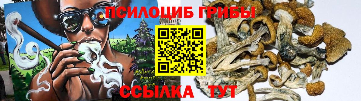 Псилоцибиновые грибы мухоморы Кохма