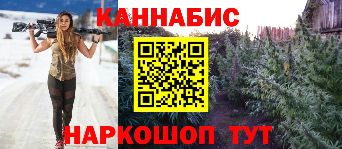 Кохма  Шишки марихуана сатива  Бошки Шишки планчик  Каннабис план  Вход с VPN 